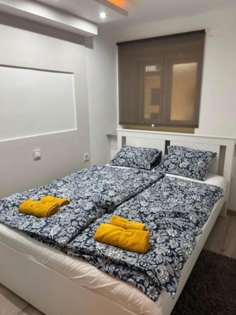 Apartament Raday Street Heven